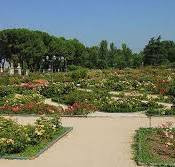 Los 5 mejores parques de Madrid para pasear con tu perro