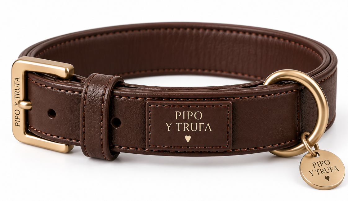 Cómo cuidar los accesorios de cuero de tu perro para que duren años